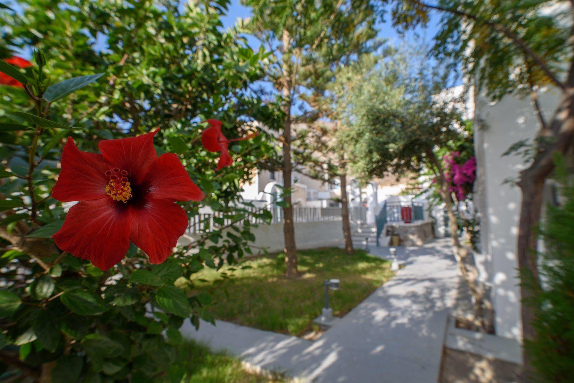 Iris Boutique Hotel Камари Экстерьер фото